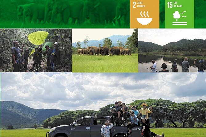 Kuiburi Wildlife Watching & Cookery With Host - Exploring Kuiburi National Park