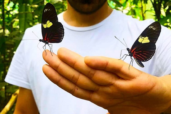 Kukama Community and Pilpintuwasi Butterfly Farm Tour - Key Points