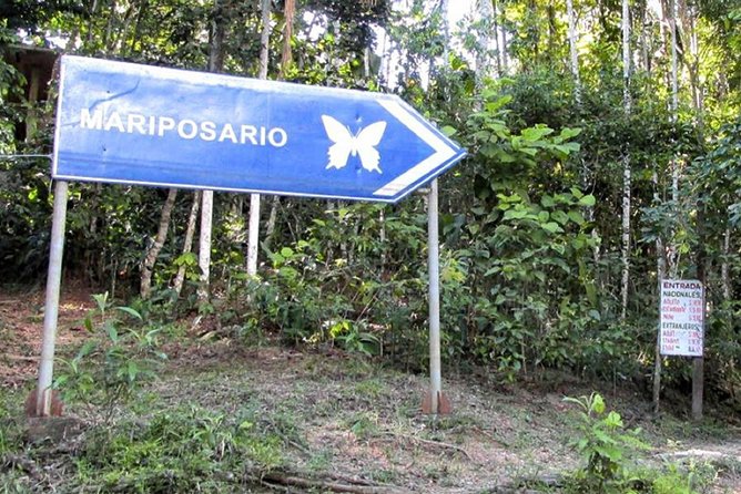 Kukama Community and Pilpintuwasi Butterfly Farm Tour - Exploring Malecón Tarapacá