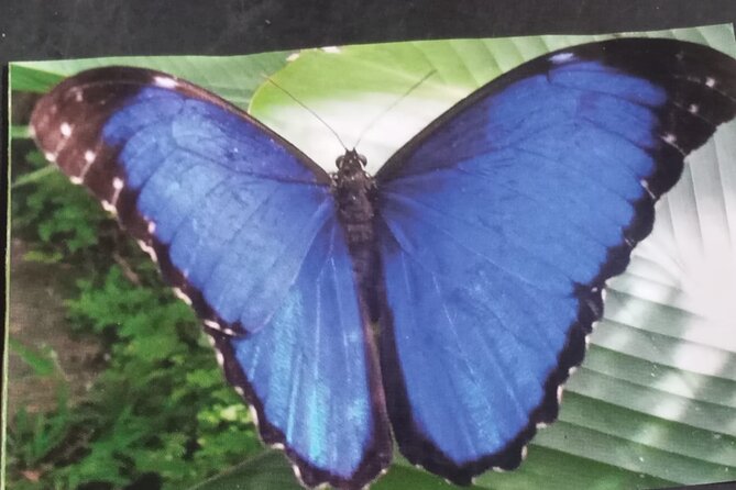 Kukamas Tribe, Butterfly Preserve & Sport Piranha Fishing - All Tickets Included - Included in the Tour