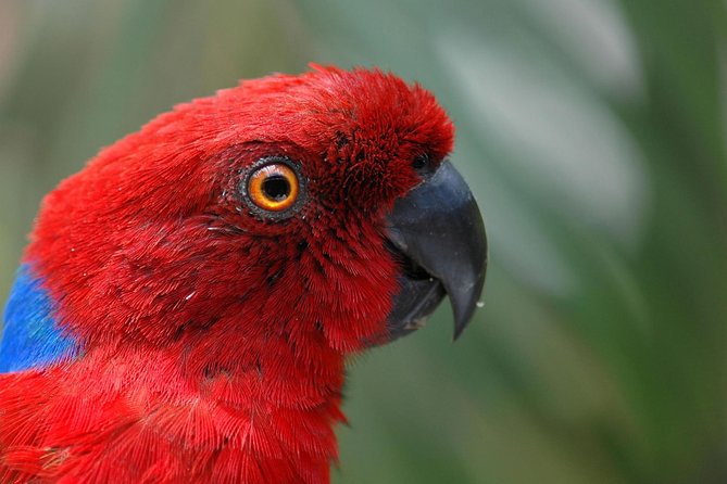 Kula Eco Park Admission - Variety of Visitor Activities