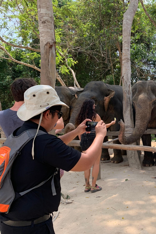 Kulen Elephant Forest & 1000 Lingas River Bed - Good To Know