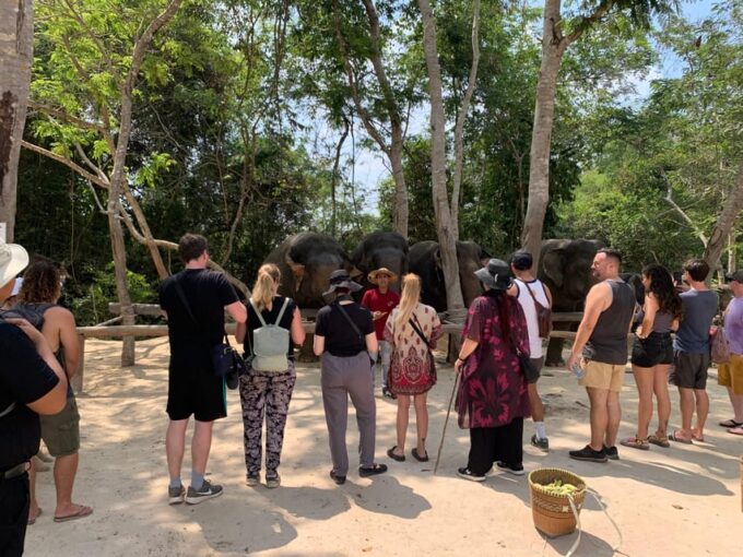 Kulen Elephant Forest & 1000 Lingas River Bed - Exploring Kulen Elephant Forest