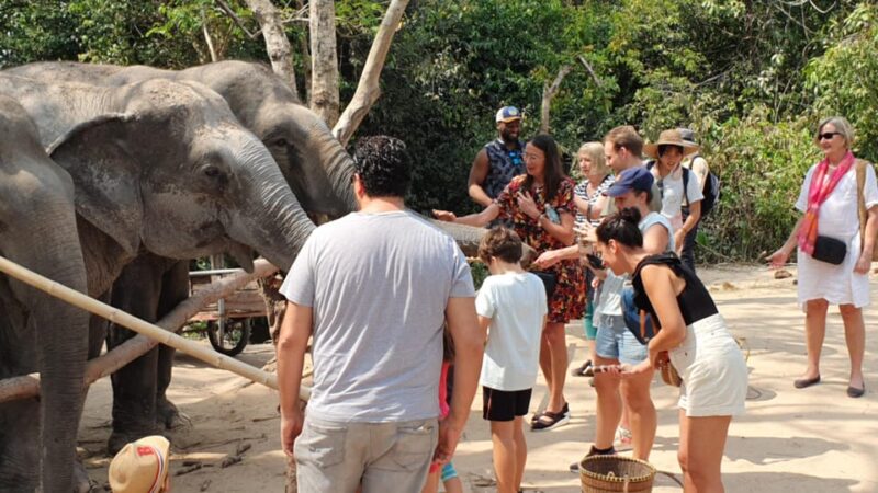 Kulen Elephant Forest and Tonle Sap Lake by Private Tour - Good To Know