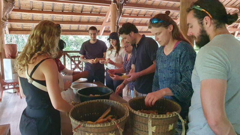Kulen Elephant Forest and Tonle Sap Lake by Private Tour - Important Information