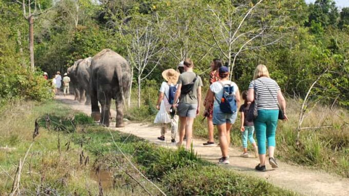 Kulen Elephant Forest and Tonle Sap Lake by Private Tour - Navigating Tonle Sap Lake
