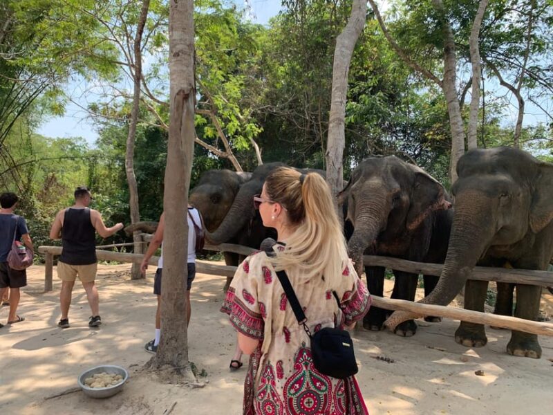 Kulen Elephant Forest & Tonlesap Lake Include Boat /Transfer - Pricing and Booking