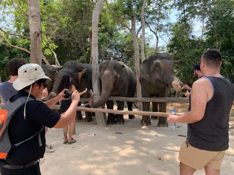 Kulen Elephant Forest & Tonlesap Lake Include Boat /Transfer - Itinerary Details
