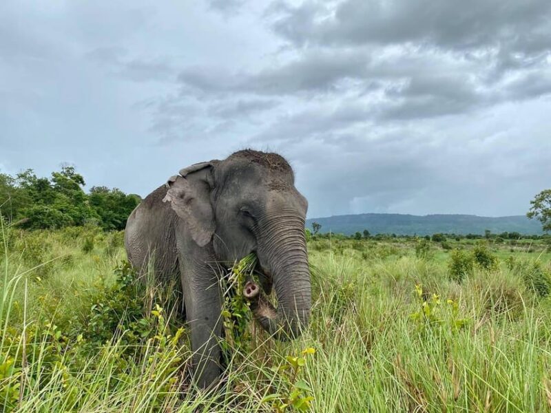 Kulen Elephant Forest & Tonlesap Lake Include Boat /Transfer - Inclusions and Important Information