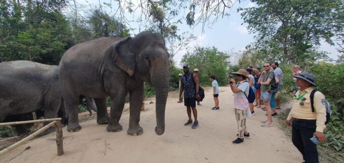 Kulen Elephant Forest & Tonlesap Lake Include Boat /Transfer - Transportation and Pickup