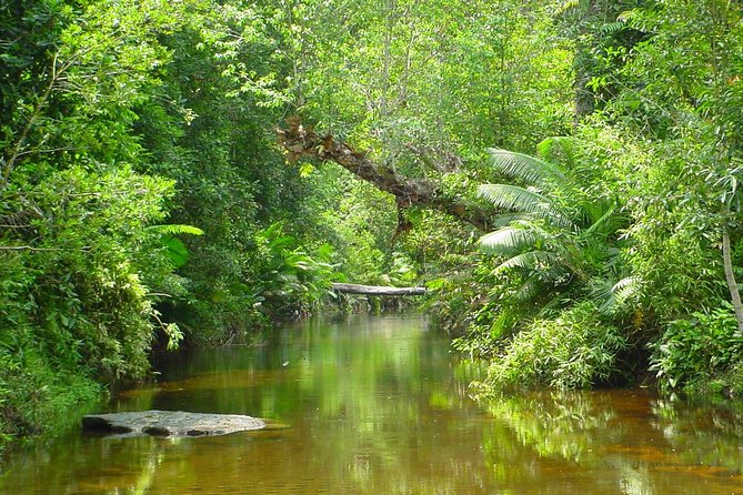 Kulen National Park Ticket - Important Notes and Visitor Guidelines