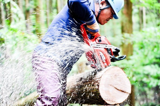 Kuma Valley E-Bike Adventures - Indulging in Local Culinary Delights