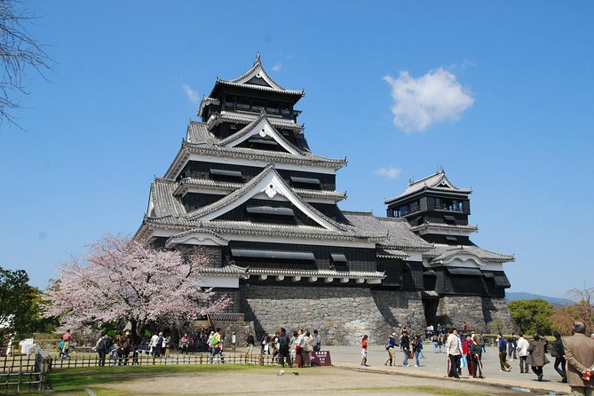 Kumamoto Custom Full Day Tour - Transportation Arrangements