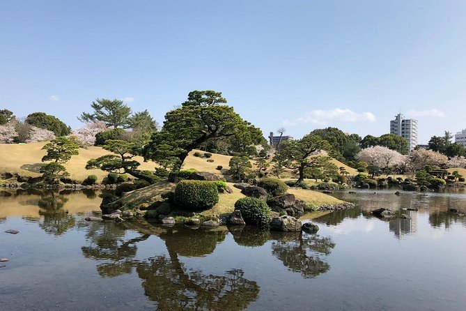 Kumamoto Half-Day Private Tour With Government-Licensed Guide - Guide Expertise and Qualifications