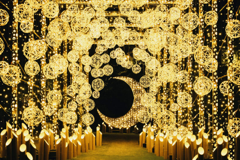 Kumamoto: Princess Kaguyas Glowing Garden in Sakuramachi - Key Points