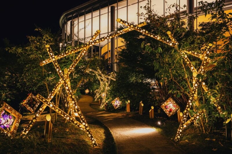 Kumamoto: Princess Kaguyas Glowing Garden in Sakuramachi - The Magical Story