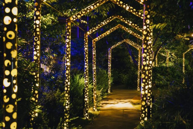 Kumamoto: Princess Kaguyas Glowing Garden in Sakuramachi - Customer Feedback