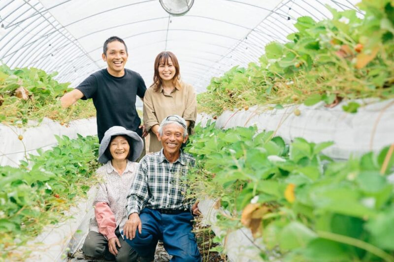 Kumamoto: Strawberry Picking With Dessert at Nakahata Farm - Strawberry Picking Details