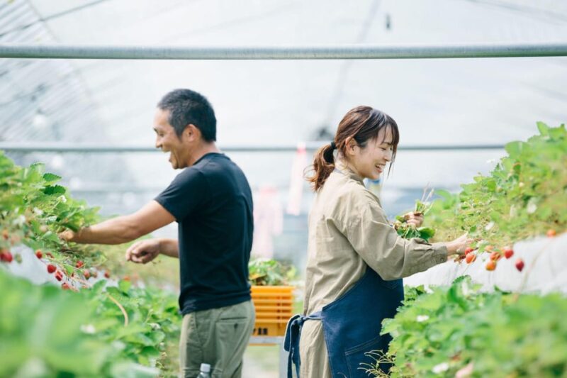 Kumamoto: Strawberry Picking With Dessert at Nakahata Farm - Booking and Cancellation Policy