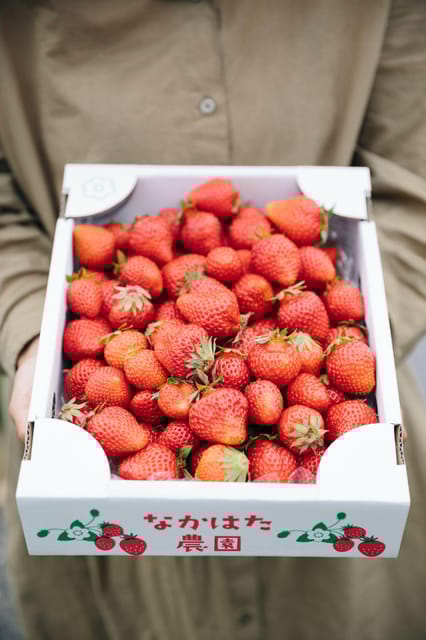 Kumamoto: Strawberry Picking With Dessert at Nakahata Farm - How to Get to Nakahata Farm