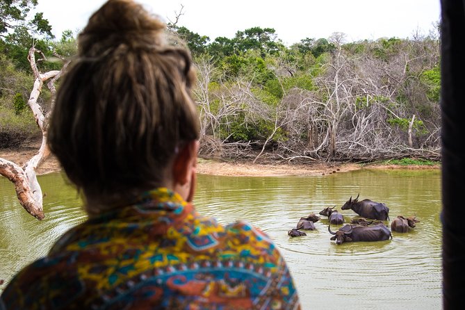 Kumana National Park Half Day Jeep Safari - Health and Accessibility