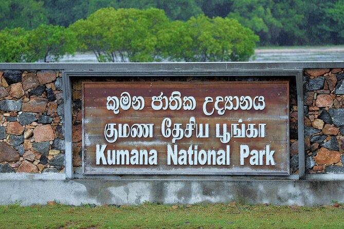 Kumana National Park Safari | From Arugam Bay - Pickup and Drop-off Arrangements