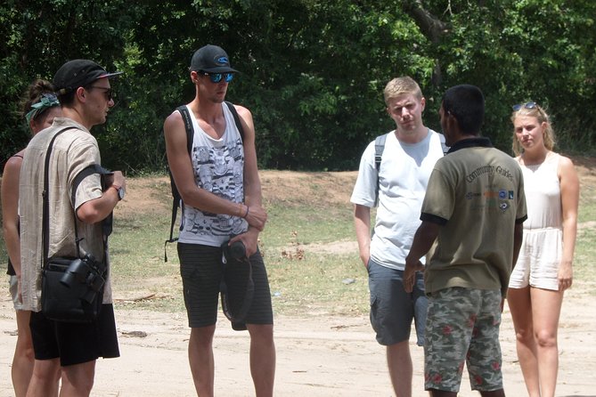 Kumana National Park Wildlife Safari - Spotting Wildlife