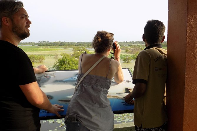 Kumana National Park Wildlife Safari - Personalized Experience