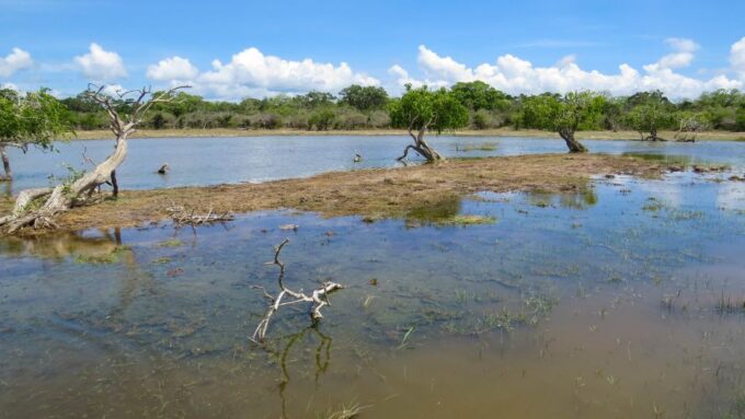 Kumana: Private 3-Hour Kumana National Park Safari - Frequently Asked Questions
