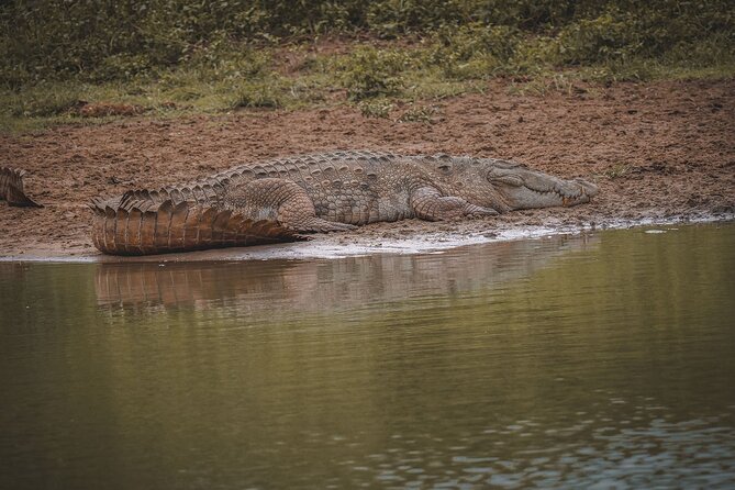Kumana Safari Drive From Arugam Bay - Inclusions