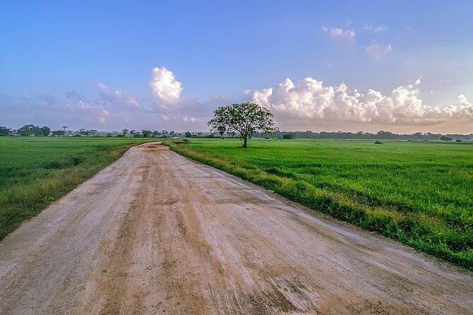 Kumana Safari Drive From Arugam Bay - Preparing for the Safari