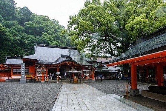 Kumano Kodo Half Day Daimonzaka and Nachi Taisha Tour - Highlights of the Kumano Kodo