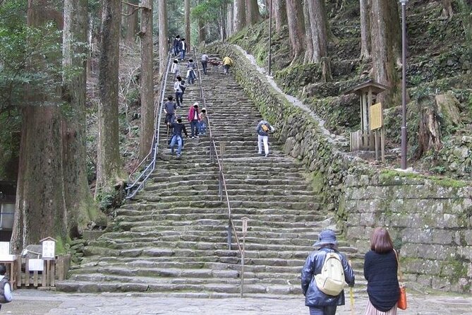 Kumano Kodo Half Day Daimonzaka and Nachi Taisha Tour - Meeting Point and Start/End Times