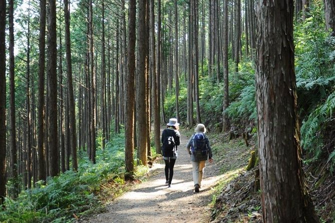 Kumano Kodo Pilgrimage Full-Day Private Trip With Government Licensed Guide - Tour Accessibility