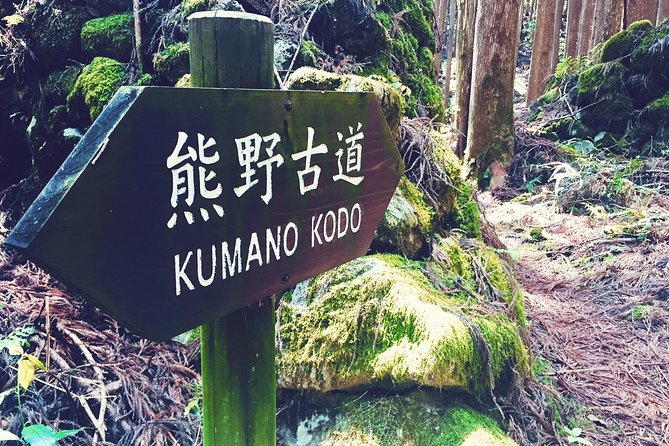 Kumano Kodo Pilgrimage Full-Day Private Trip With Government Licensed Guide - Itinerary Customization