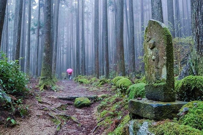 Kumano Kodo Pilgrimage Full-Day Private Trip With Government Licensed Guide - Group Size and Pricing