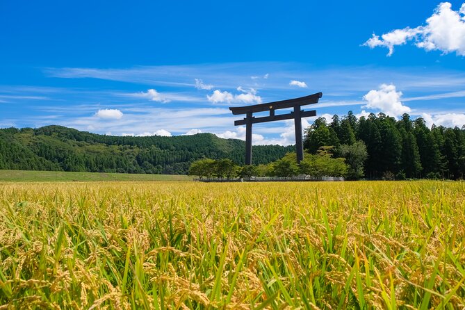 Kumano Kodo Pilgrimage Tour With Licensed Guide & Vehicle - Transportation and Accessibility