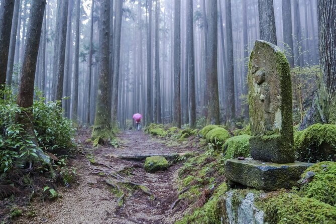 Kumano Kodo Pilgrimage Tour With Licensed Guide & Vehicle - Cancellation and Weather