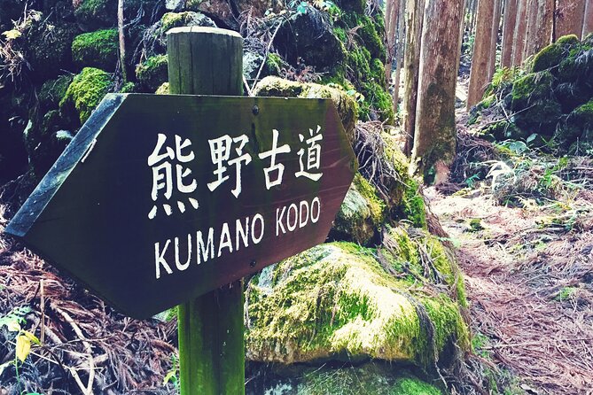 Kumano Kodo Pilgrimage Tour With Licensed Guide & Vehicle - Kumano Kodo Pilgrimage Overview