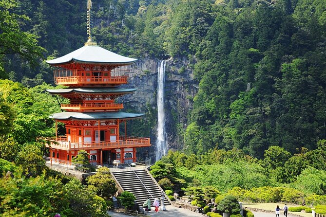 Kumano Kodo Pilgrimage Tour With Licensed Guide & Vehicle - Guided Experience and Itinerary