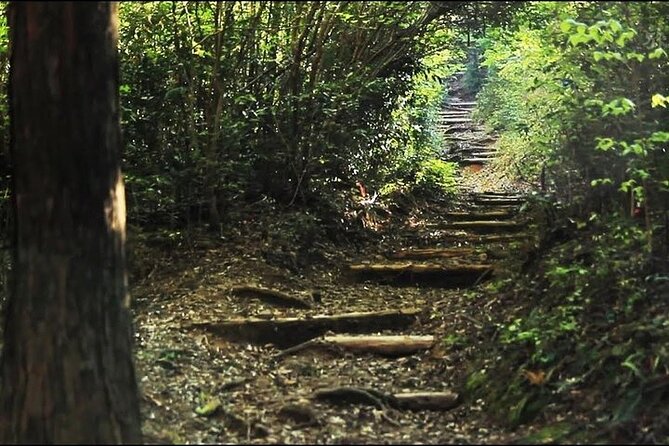 Kumanokodo 2 Day Walking Tour From Osaka - Accessibility and Fitness