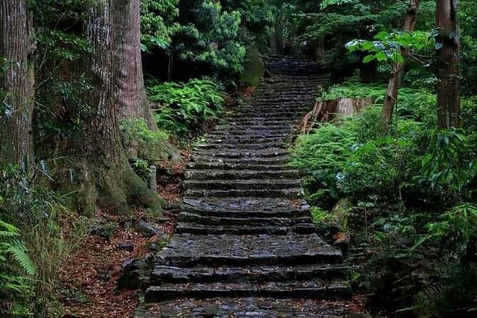 Kumanokodo 2 Day Walking Tour From Osaka - Age Restrictions