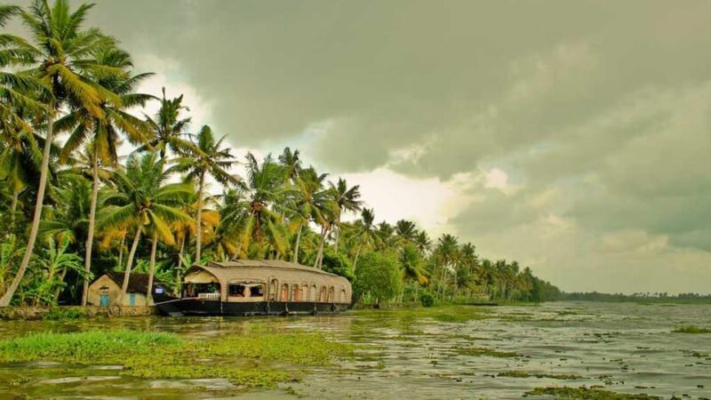 Kumarakom - Alleppy Day Cruise: Private Tour From Cochin - Key Points