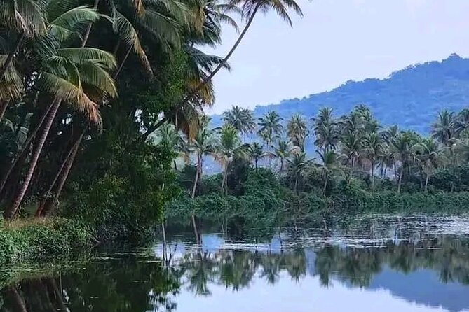 Kumarakom Backwater & Birds Explore at Coconut Lagoon Destination - Pickup Information