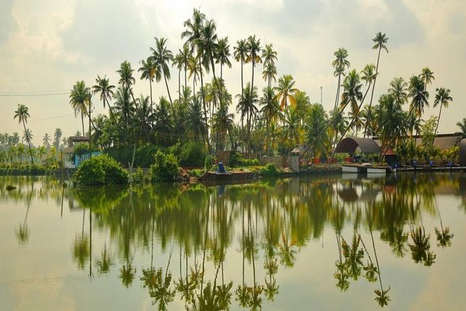 Kumbalangi Village Sightseeing Tour - Overview and Rating