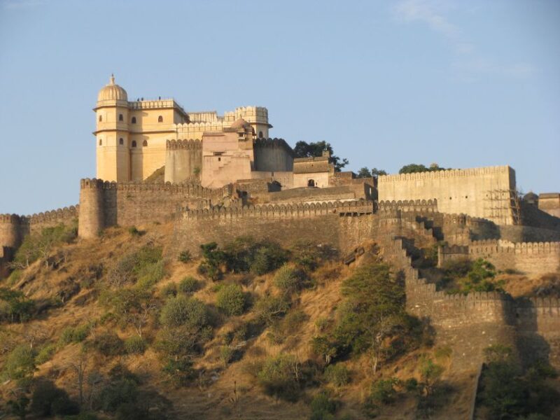 Kumbhalgarh and Ranakpur: Private Day Trip From Udaipur - Customer Reviews