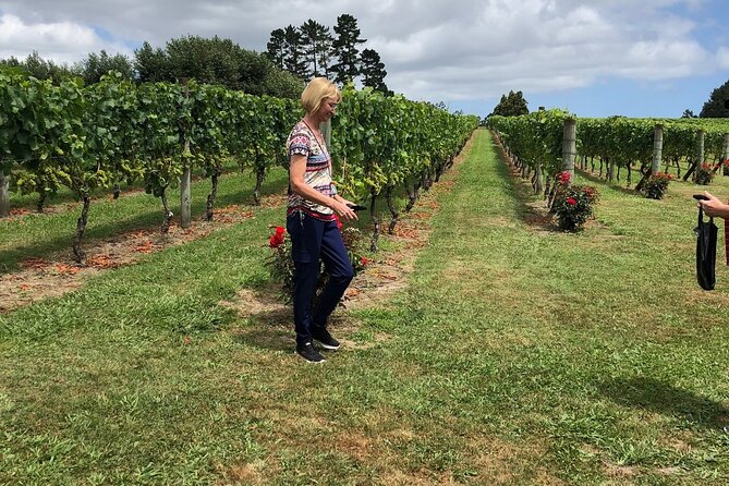 Kumeu Wine Tour - Region and Location