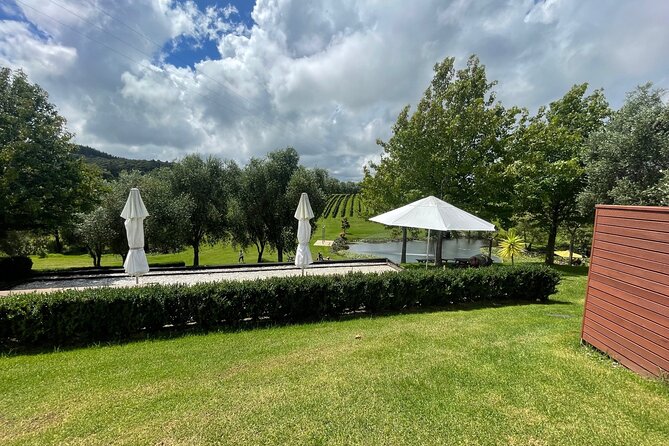 Kumeu Wine Tour - Tour Features and Inclusions
