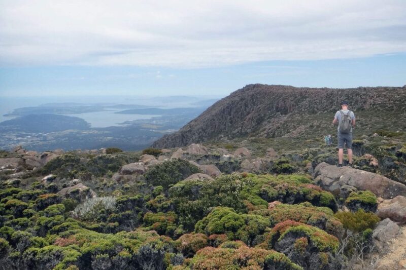 Kunanyi & Mt Wellington Explorer Bus: One-Way Bus Pass - Pricing and Ticket Information