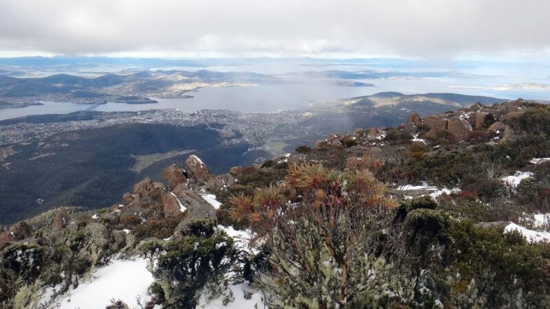 Kunanyi & Mt Wellington Explorer Bus: One-Way Bus Pass - Activity Options and Accessibility